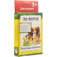 russische bücher: Сост. Медеева И.Г. - Полезные карточки "На ферме"