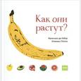 russische bücher: Франсуаз де Гибер, Клеманс Полле  - Как они растут? 