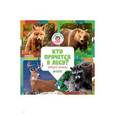russische bücher: Уткина Ольга - Удивительный мир. Кто прячется в лесу?