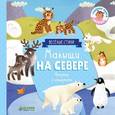 russische bücher: Шигарова Юлия Вячеславовна - Малыши на севере