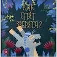 russische bücher: Гюнтер Евгения Евгеньевна - Как спят зверята?