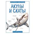 russische bücher: Бедуайер К. - Акулы и скаты