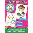 russische bücher: Малышкина М.В., Двинина Л.В. - Первые слова