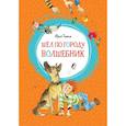 russische bücher: Томин Ю. - Шел по городу волшебник