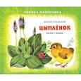 russische bücher: Чуковский Корней Иванович - Цыплёнок