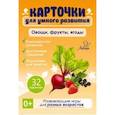 russische bücher: Бойченко Т. И. - Овощи, фрукты, ягоды. 32 карточки