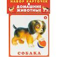 russische bücher:  - Набор карточек. Домашние животные