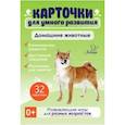 russische bücher: Бойченко Т. И. - Домашние животные. 32 карточки