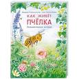 russische bücher: Райхенштеттер Ф. - Как живёт пчёлка. Познавательные истории