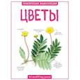 russische bücher: Камилла де ла Бедуайер - Цветы. Практическая энциклопедия