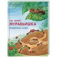 russische bücher: Райхенштеттер Ф. - Где живёт муравьишка. Познавательные истории
