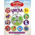 russische bücher: Ульева Е. - Числа: развивающая книжка с наклейками