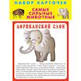 russische bücher:  - Набор карточек "Самые быстрые животные"