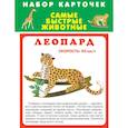 russische bücher:  - Набор карточек. Самые быстрые животные