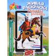 russische bücher:  - Пираты и Рыцари. Раскраска