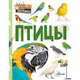 russische bücher: Аронова Н.Л. - Птицы
