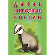 russische bücher:  - Карточки «Дикие животные России». Интересные факты