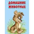 russische bücher:  - Карточки. Домашние животные. Интересные факты