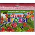 russische bücher:  - Лесные ягоды
