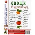 russische bücher:  - Овощи в картинках. Наглядное пособие для педагогов, логопедов, воспитателей и родителей