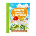 russische bücher: Бахурова Евгения Петровна - Словарик-прописи в картинках