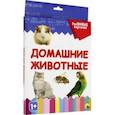 russische bücher:  - Разумные карточки "Домашние животные" (20 карточек)