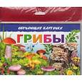 russische bücher:  - Грибы. Обучающие карточки