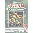 russische bücher: Шорыгина Татьяна Андреевна - Травы. Какие они? Книга для воспитателей, гувернеров и родителей