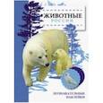 russische bücher: Александрова О. - Животные России