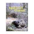 russische bücher: Кервуд Д. - Бродяги Севера