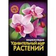 russische bücher: Соколова Л. - Энциклопедия. Удивительный мир растений