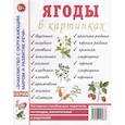 russische bücher:  - Ягоды в картинках. Наглядное пособие для педагогов, логопедов, воспитателей и родителей