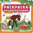 russische bücher:  - Животные леса. Книжка-раскраска