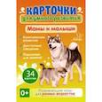 : Бойченко Татьяна Игоревна - Мамы и малыши 0+. 34 карточки