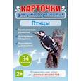 : Дерягина Людмила Борисовна - Птицы 2+. 34 карточки