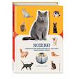 russische bücher: Дженнифер Пуллинг - Кошки