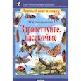 russische bücher: Несмеянова Марина Анатольевна - Здравствуйте, насекомые