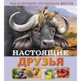 russische bücher: Баголи Илона - Настоящие друзья