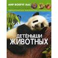 russische bücher:  - Мир вокруг нас. Детеныши животных