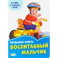 russische bücher: Солнышко Ирина - Большая книга. Воспитанный мальчик