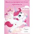 russische bücher: Ред. Грецкая Анастасия - Каллиграфические прописи для девочек А5. Пишем слоги