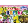 russische bücher:  - Карточки. Полевые цветы 