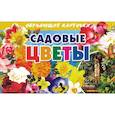 russische bücher:  - Карточки. Садовые цветы 