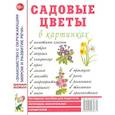 russische bücher:  - Садовые цветы в картинках