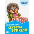 russische bücher: Солнышко Ирина - Большая книга. Секреты этикета