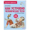 russische bücher: Вэнблад  М - Как устроено Человеческое тело. От клетки до сердца