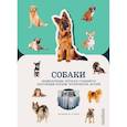 russische bücher: Аннетт Конн - Собаки