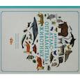 russische bücher: Джулс Ховард, Фэй Эванс - Детский атлас-определитель животных