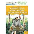 russische bücher: Дефо Д. - Удивительные приключения Робинзона Крузо