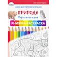 russische bücher: Клепова Людмила Павловна - Самое достопримечательное. Природа Пермского края. Книжка-раскраска